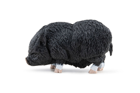 PAPO FIGURINA PORC VIETNAMEZ [5]