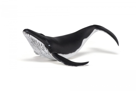 PAPO FIGURINA PUI DE BALENA [2]