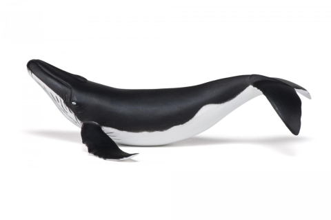 PAPO FIGURINA PUI DE BALENA [1]