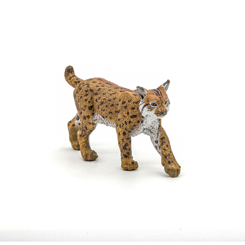 PAPO FIGURINA RAS [2]