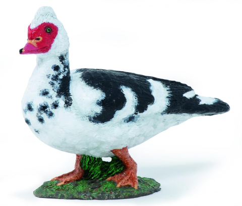 Figurine - PAPO FIGURINA RATA DOMESTICA