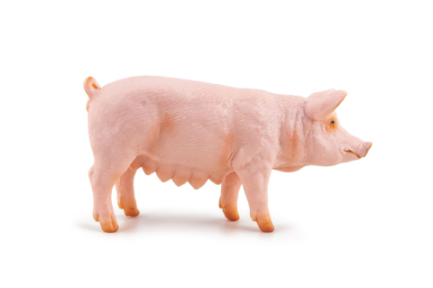 PAPO FIGURINA SCROAFA [1]