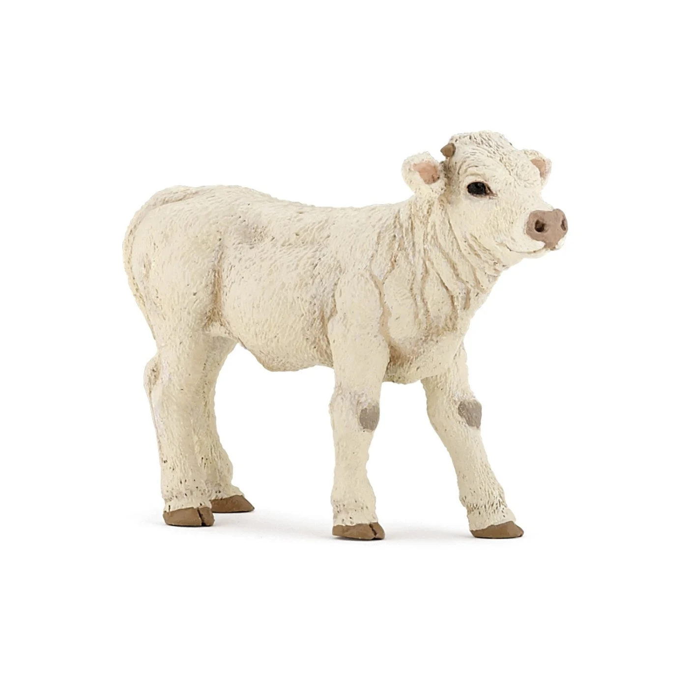 Noutăți Librăria Compas - Figurina Papo Vitel Charolais 8 x 4 x 6 cm