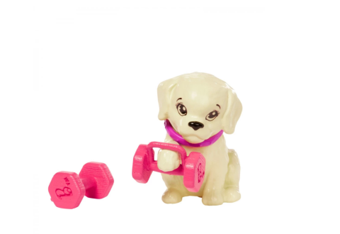 Papusa Barbie Sportiva - Set de joaca cu accesorii [4]