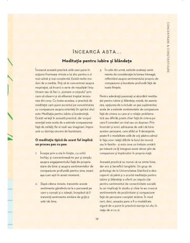 Pasaportul seninatatii - Megan C. Hayes [2]