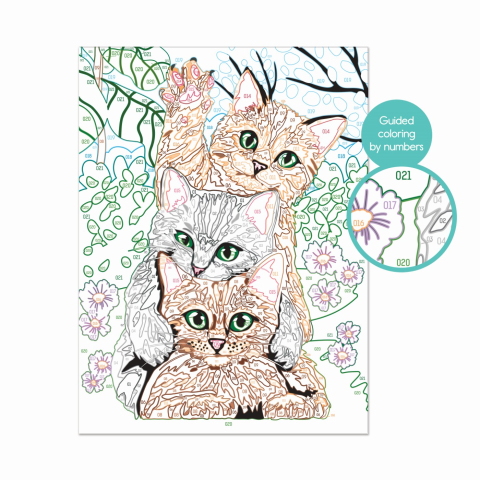 PICTEAZA SI INRAMEAZA PISICI AMUZANTE [4]