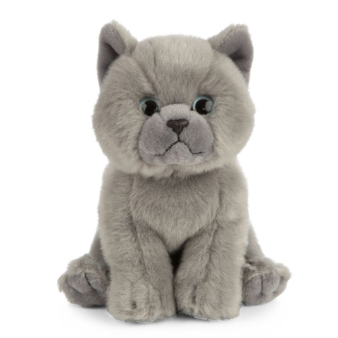 Jucării și jocuri - Pisica British Shorthair din plus 16 cm Living Nature