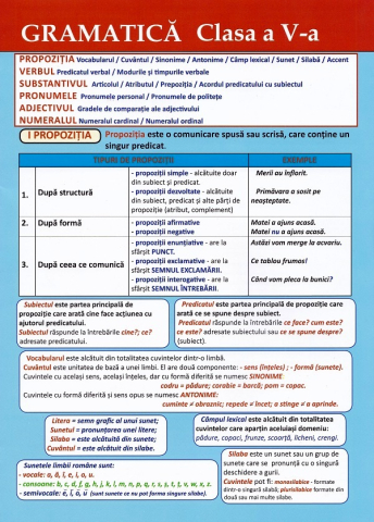Cărți pentru copii - Plansa. Gramatica Clasa a V-a