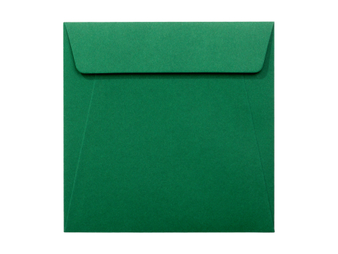 Plicuri - Plic patrat siliconic verde padure 14x14 cm Daco