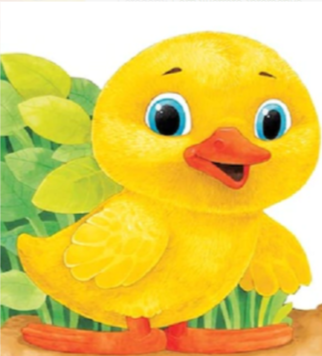 Noutăți Librăria Compas - Ratusca Primii pasi – Scobioala Aurel