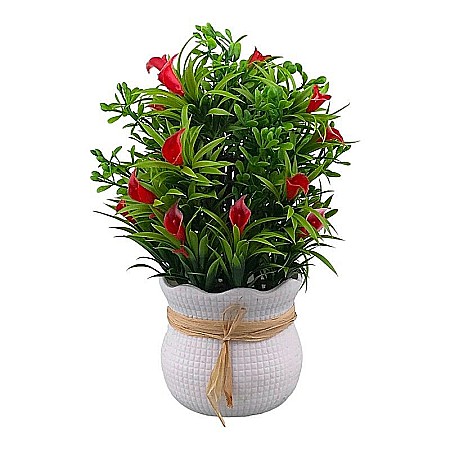 Aranjamente florale - Ghiveci cu flori 1799h