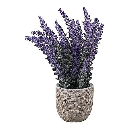 Casă și decorațiuni - Ghiveci cu lavanda 2003h