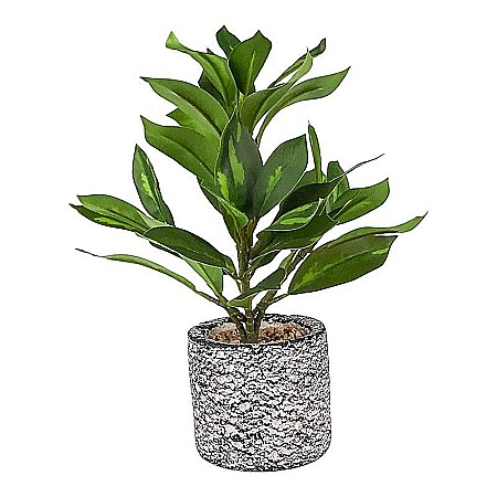 Casă și decorațiuni - Ghiveci planta ornament 2093h
