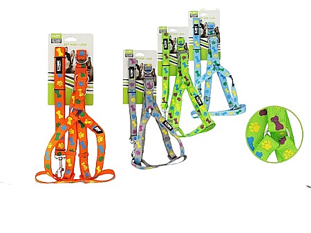 Accesorii pentru animale de companie - Set lesa + ham animale 2.5 060922