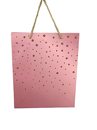 Accesorii pentru impachetat - Punga cadou 23cm - shine pgcd00051