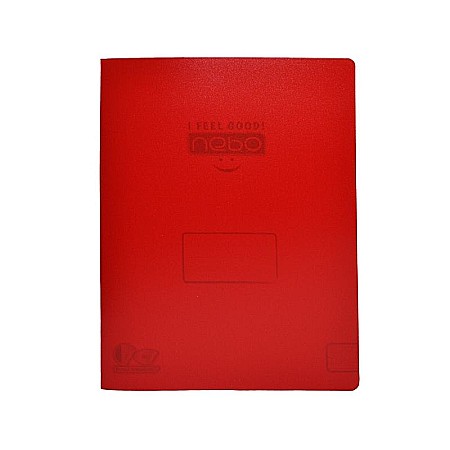 Caiete dictando - Caiet A5 dictando 48 file coperta PP Nebo