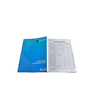 Tipizate și registre - Raport gestiune zilnic coperta 1
