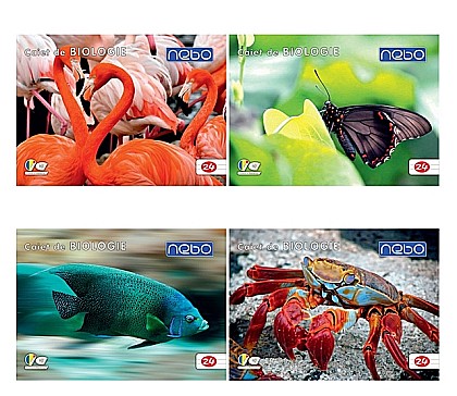 Caiete geografie și biologie - Caiet biologie 24 file Nebo