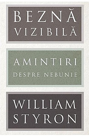 Biografii și memorii - Bezna vizibila - Amintiri despre nebunie - William Styron
