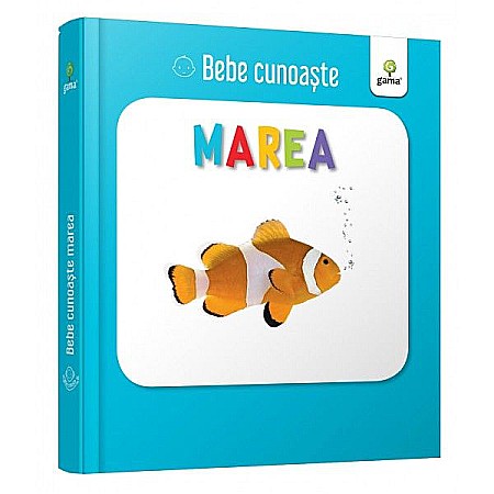 Cărți pentru copii - Marea – bebe cunoaste