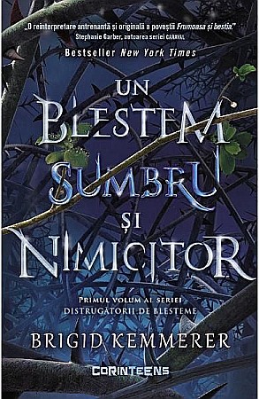 Cărți - Distrugatorii de blesteme vol.1 Un blestem sumbru – Brigid Kemmerer