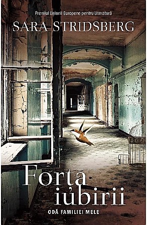 Romane de dragoste - Forta iubirii - Sara Stridsberg