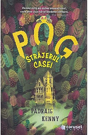 Povești și ficțiune pentru copii - Pog, străjerul casei – Padraig Kenny 