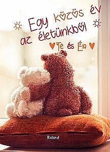 Cărți - Jurnalul nostru maro- hu