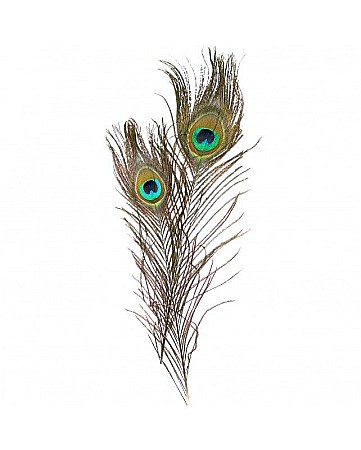 Artă și creativitate - Accesorii creatie set pene paun - Colorarte