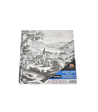 Pânze pictură - Panza predesenata pe sasiu 30*30cm peisaj sf art pigna mcpp303052