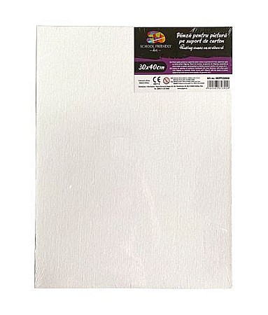 Pânze pictură - Carton panzat 3mm 30*40cm sf art pigna mcppc30x40