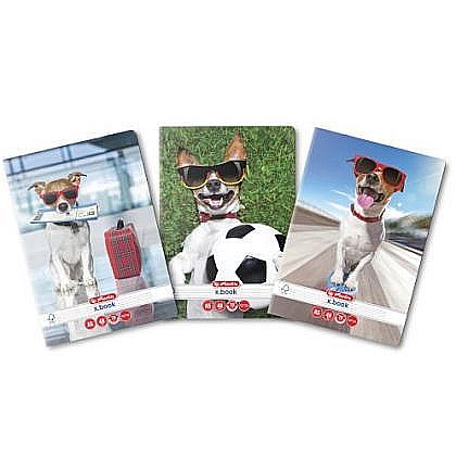 Promoții de Toamnă - Caiet A5 48 file dictando Cool Dog Herlitz