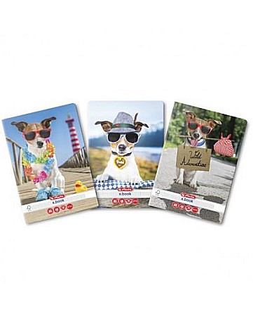 Caiete matematică - Caiet A5 48 file matematica Cool dog Herlitz