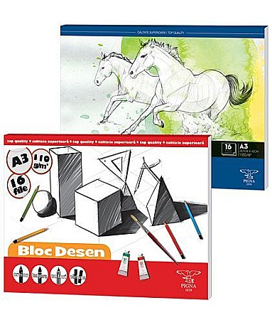 Blocuri de desen școlare - Bloc desen a3 pigna 110gr bd-a316110