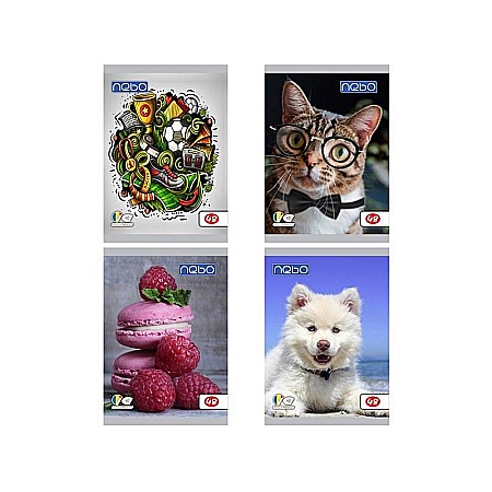 Rechizite școlare - Caiet a5 48 file foi veline nebo 16583