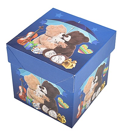 Promoții de Toamnă - Cutie cadou 028 22*22*22cm e2299