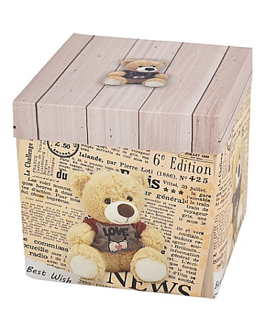 Promoții de Toamnă - Cutie cadou 203 25*25*25cm e2327