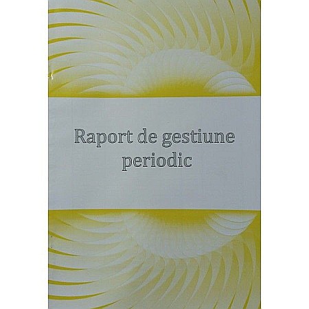 Tipizate și registre - Raport gestiune periodic color
