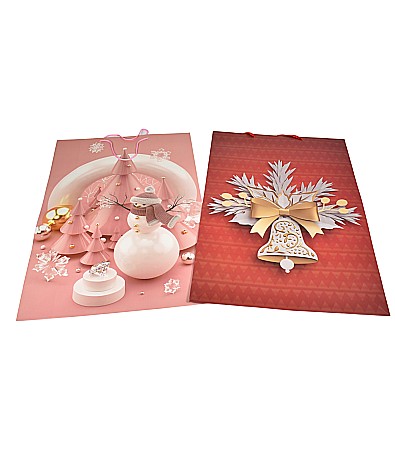 Accesorii pentru impachetat - Punga cadou 139