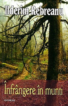 Cărți - Infrangere in munti - Ilderim Rebreanu