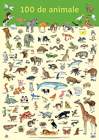 Materiale educaționale - Plansa 100 de animale - Nelson Verlag