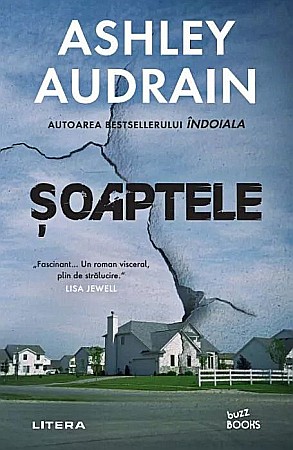 Cărți - Soaptele - Ashley Audrain