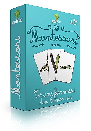 Materiale educaționale - Ordonare. Transformari din lumea vie