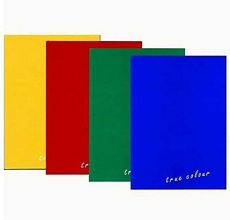 Registre și plannere - Registru a4 96f dr monocrom educa edu02100