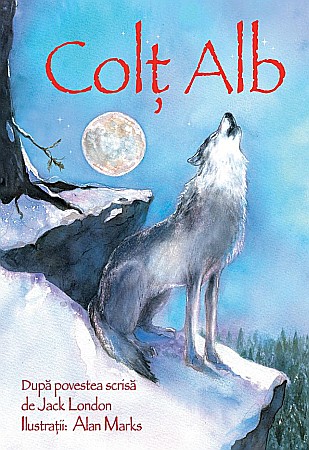 Cărți - Colt Alb - Sarah Courtauld