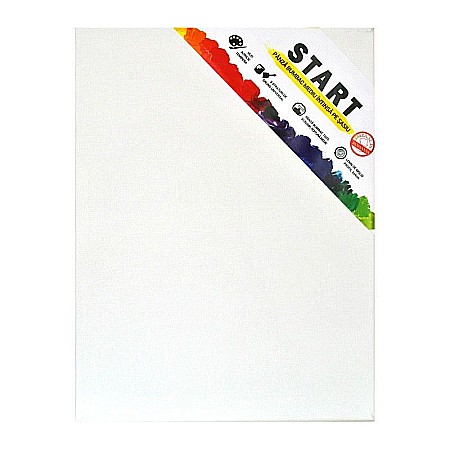 Artă și creativitate - Panza sasiu start 50x50  6005050