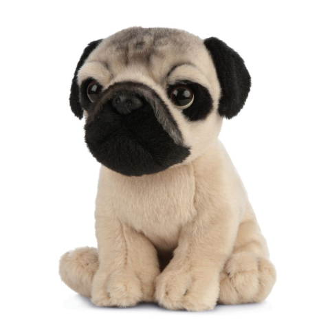 Jucării și jocuri - Pui de catelus Pug din plus 16 cm Living Nature