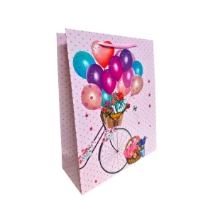 Punga cadou cu bicicleta flori și baloane 32 x 26 x 10 cm modele diferite [2]