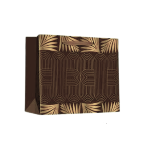 Punga cadou Desert 55x45x20cm diferite culori [4]