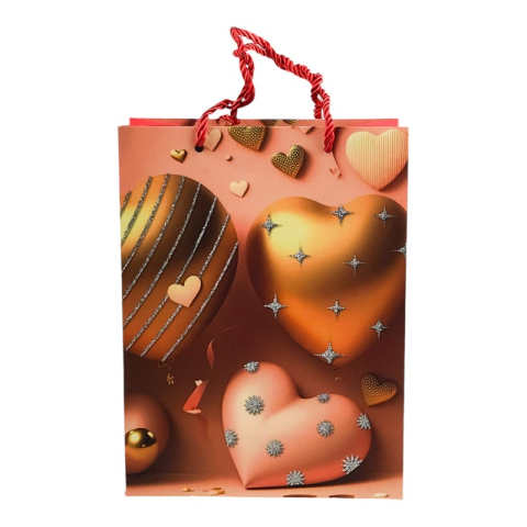 Punga cadou 18x24 cm Baloane si inimi [7]